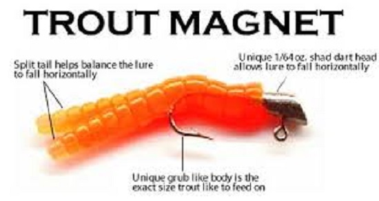 Trout magnets.jpg